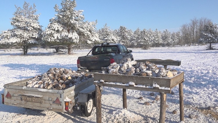 Éheznek a vadak a kemény télben – így segítenek a vadászok