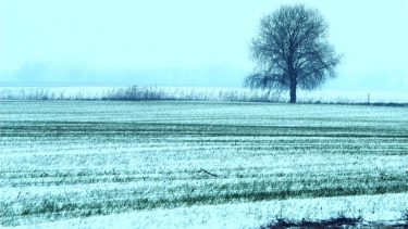 Lassan, de halad a talajok töltődése, de a várható meleg később fagykockázattal jár (Fotó: Horizont Média)
