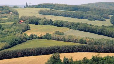 A hazai termőföldárakban az olcsóbbak közt, bérleti díjban a középmezőnyben vagyunk (Fotó: Horizont Média)