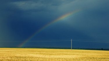 vihar utáni napsütés kalászos tábla felett