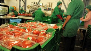 A magyar és európai minőség védelme megéri a piaci fellépést (Illusztráció: Horizont Média/archív)