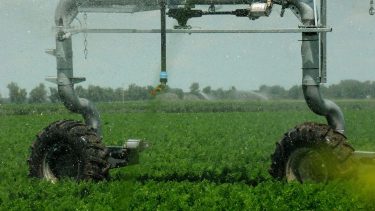 Az öntözéses gazdálkodás fontos része a képzés – most lehet jelentkezni! (Fotó: Horizont Média)