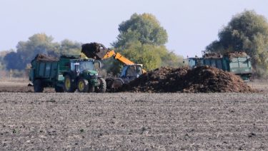 ideiglenes állati szervestrágya-tárolás kijuttatás előtt