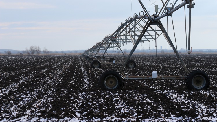 hómaradvány szántóföldön öntözőrendszer alatt