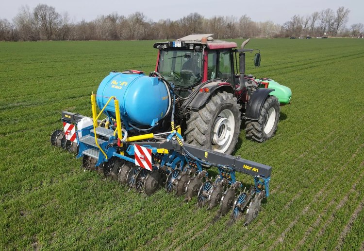 Noran Cultan szántón