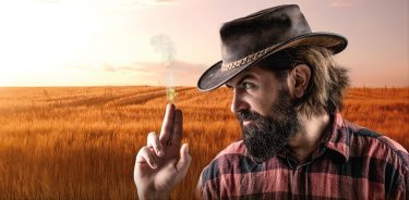 Revans csomagok Kite