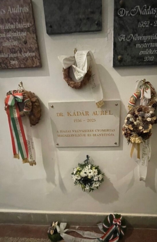 Emléktábla avatása Keszthelyen a fórumon