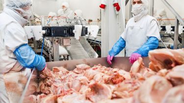 Nőtt a vágások száma a baromfi vágóhidakon (Illusztráció: Shutterstock)