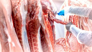 Mindenütt nő a kibocsátás, ami a fogyasztás csökkenésével párhuzamosan fékezi az árak emelkedését (Fotó: Shutterstock)