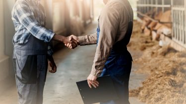 gazdálkodók, állattartók kézfogása állattartótelepen