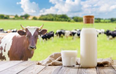 Tejipari/tehéntej tematikájú illusztrációs fotó, amely a tejágazat piaci cikkéhez kapcsolódik.