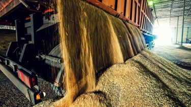 gabonaraktárban gabonaszállító teherautó ürít