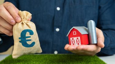 pénzeszsák mezőgazdasági épület kisplasztika