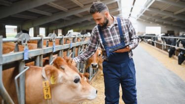 A jövő hónap végén minden állattartónak fontos határidő jön, érdemes készülni az adategyeztetésre! (Fotó: Shutterstock)