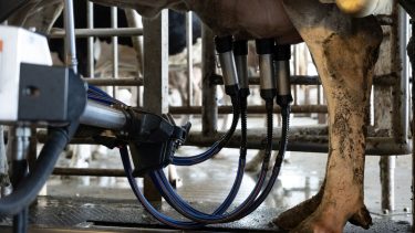 automata fejőgép karuszel