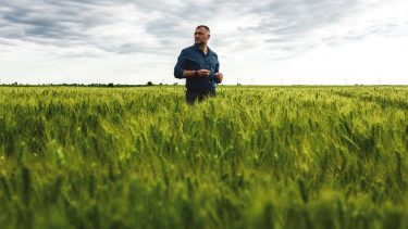 gazda kalászos szántóföld