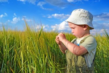 Gyermek búzatáblában nyáron