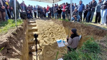 talajszelvény-elemzés Kiskunhalason 2024 tavaszán