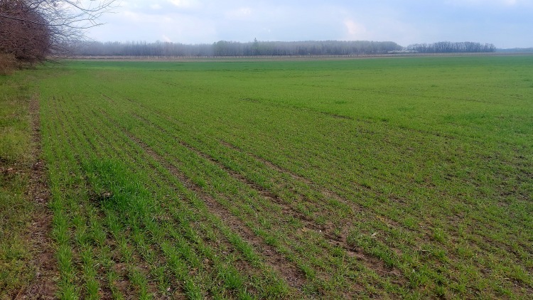 Riasztó képeken az aszály, és már jönnek a kisugárzó fagyok