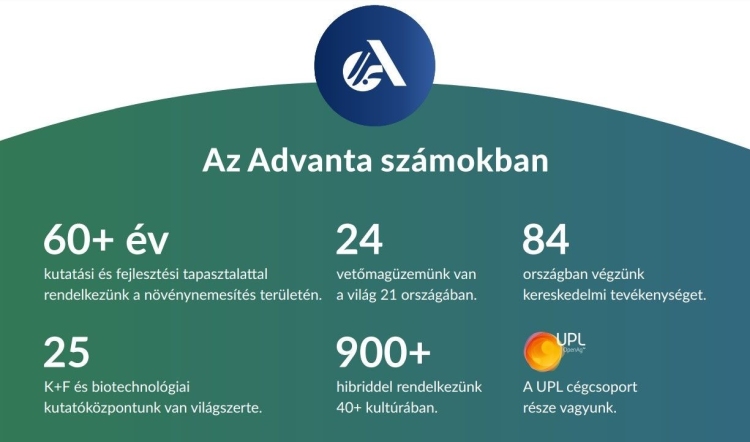 Az Advanta számokban