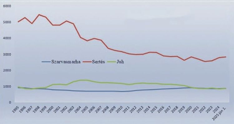 Sertésállomány alakulása grafikon