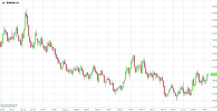 CBOT, búza, 2026. március