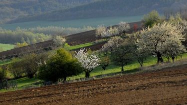 Kert és szántó állományok talaj