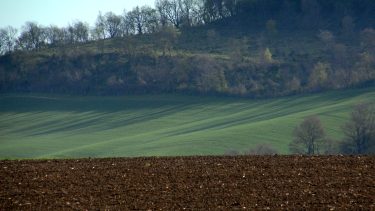 talajok és zsendülő őszi vetések