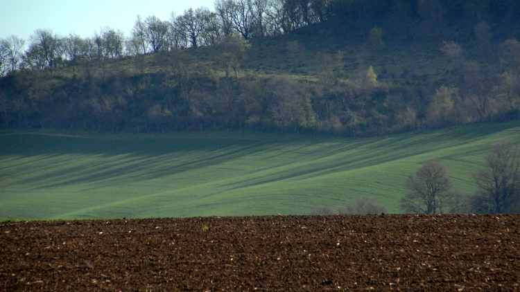 talajok és zsendülő őszi vetések
