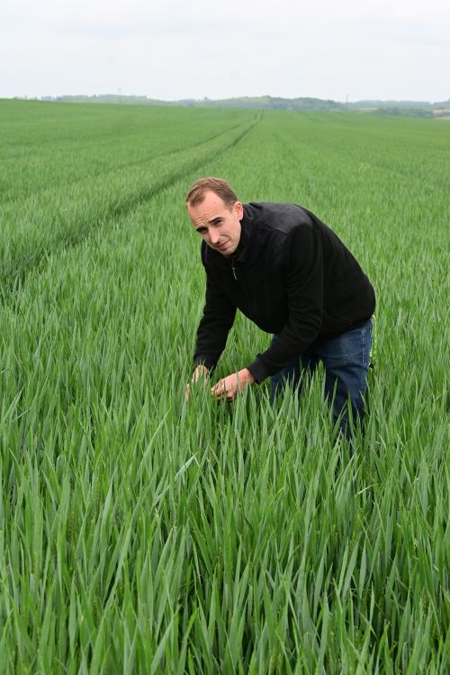 Göcző Gábor növényorvos