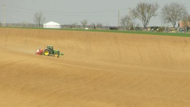 Idén is száraz talajba kell vetni majd a Homokhátságon…? (Fotó: Horizont Média/archív)