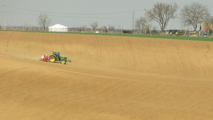 Ez nagyon nem jó, máris aszály van, szárazak a termőtalajok