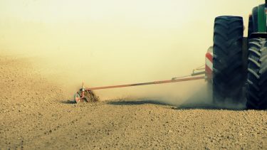 Kiszáradt vetőágyban halad a csoroszlya a Homokhátság déli részén (Illusztráció: Horizont Média/archív)