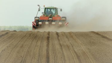 Idén is száraz talajba kell vetni majd a Homokhátságon…? (Fotó: Horizont Média/archív)