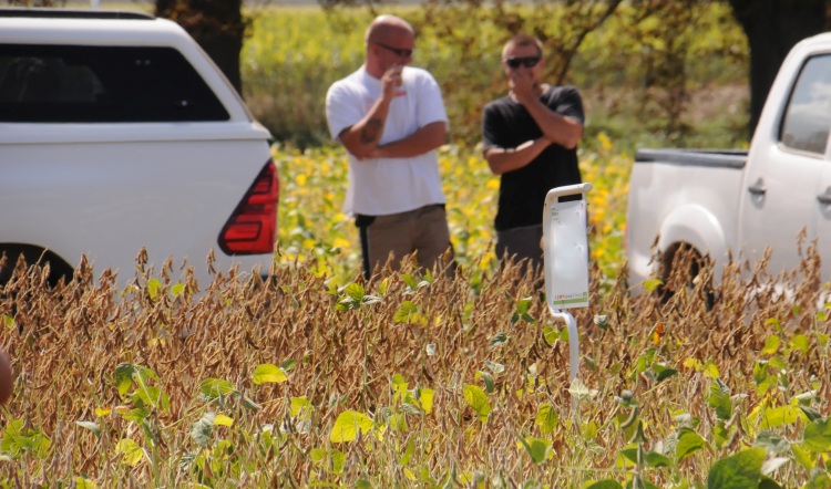 gazdák szójatábla