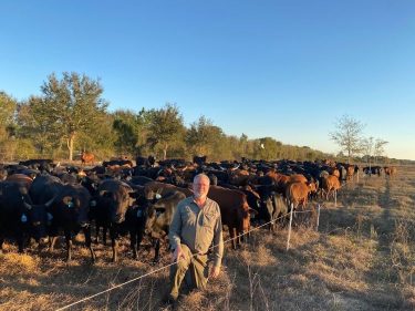 Jaime Elizondo Total Grazing