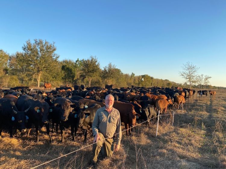 Jaime Elizondo Total Grazing