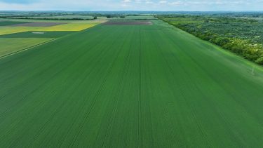 Kocsi Martin, Szentmártonkáta kalászos tábla (Fotó: KITE)