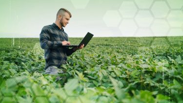 gazda laptop Syngenta digitális mezőgazdaság