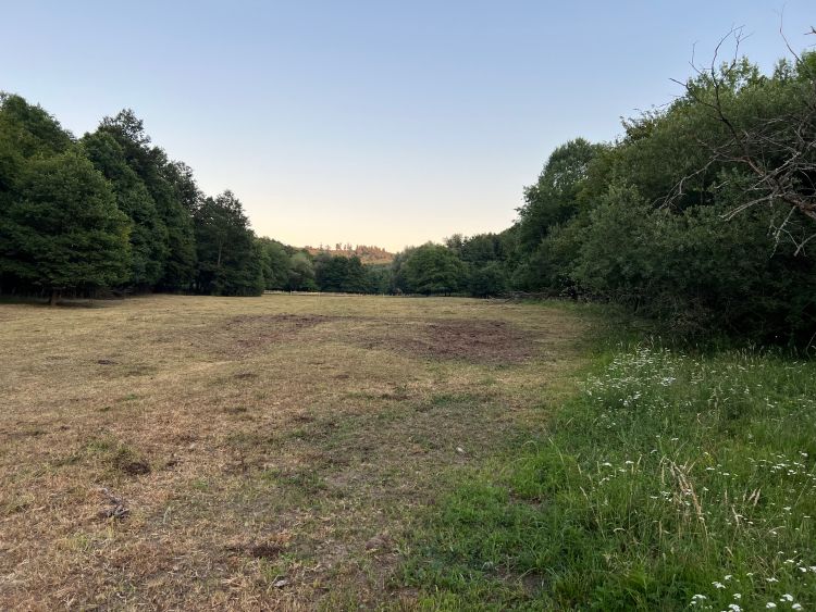 Total Grazing DEDES projektben