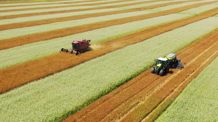 Színes vetésforgó és gépi munka a szántóföldön.