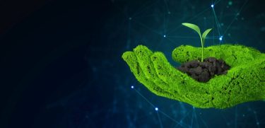 talaj és mikrobiológia tudásbázis AGRO.bio 25 év