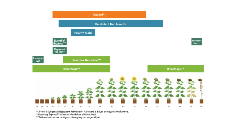 FMC napraforgó technológiai tábla