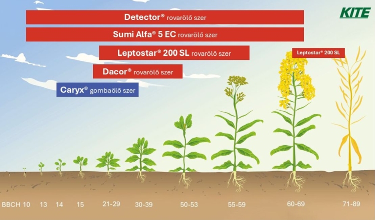 KITE Zrt. technológiai lehetőségek a repce tavaszi védelmére