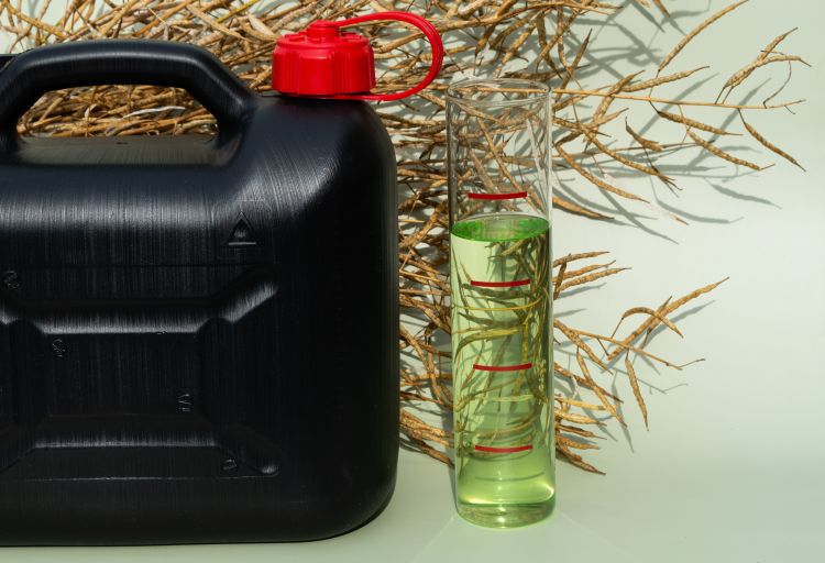 Biodízel előállítás repcéből