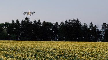 növényvédőszer kijuttatás