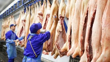 sertés vágóhíd sertéshús-termelés