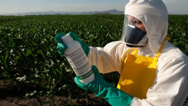 növényvédő szert ellenőrzés szakember