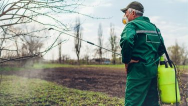 kora tavaszi lemosó permetezés kertészetben