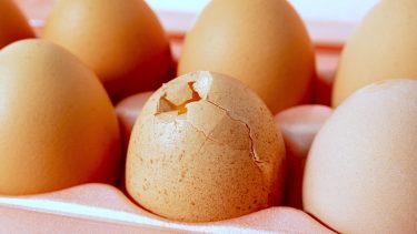 tojás törött héj